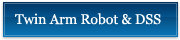 Twin Arm Robots&DSS